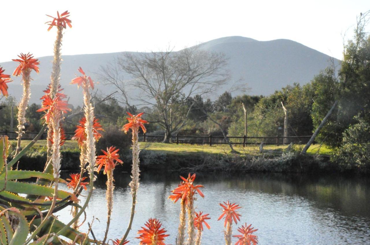 Tenikwa Wildlife Centre & Spa Plettenberg Bay Exterior foto